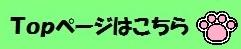 Topページはこちら